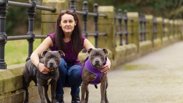 HR C JN 8579 C 082 – Andrea Peers