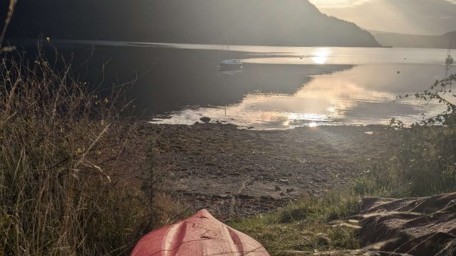 PXL_20241001_074252612 – kasia laviers