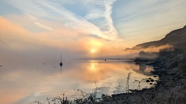 PXL_20241128_084839014 – kasia laviers