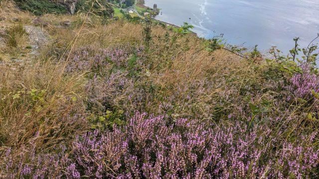 original_b0dde543-6354-418e-ba3f-d1497623fc58_PXL_20240810_083850600 – kasia laviers